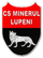 Logo of Minerul Lupeni