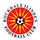 Logo of Rockdale Ilinden FC