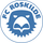 Logo of Roskilde