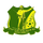 Logo of Shire Endaselassie