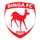 Logo of Binga