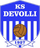 Logo of Devolli