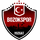 Logo of Yozgat Bld Bozokspor