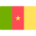 Logo of Cameroon