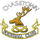 Logo of Chasetown