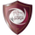 Logo of Al Draih